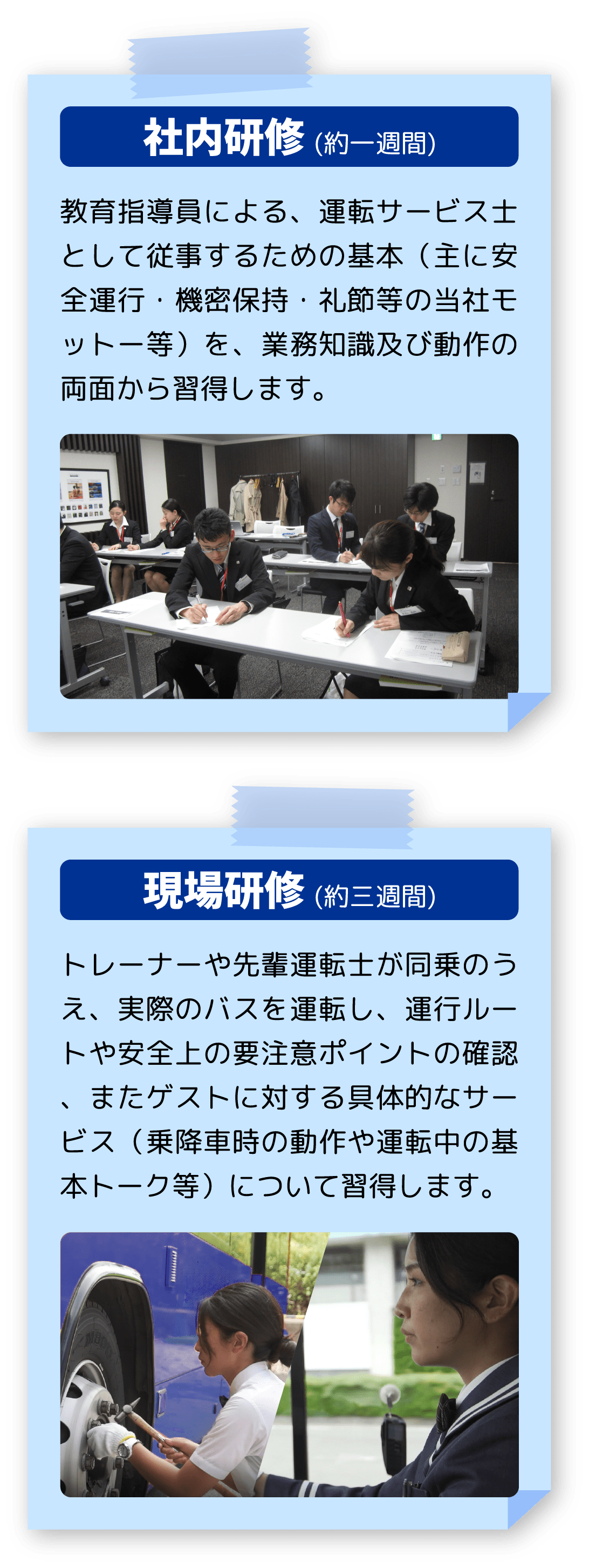 社内研修（約1週間）教育指導員による、運転サービス士として従事するための基本（主に安全運行・機密保持・礼節等の当社モットー等）を、業務知識及び動作の両面から習得します。現場研修 (約三週間)トレーナーや先輩運転士が同乗のうえ、実際のバスを運転し、運行ルートや安全上の要注意ポイントの確認、またゲストに対する具体的なサービス（乗降車時の動作や運転中の基本トーク等）について習得します。